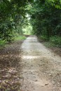 Niue Highway