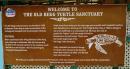 Turtle reserve