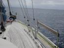 dolphin watching from the bow: Biscay crossing