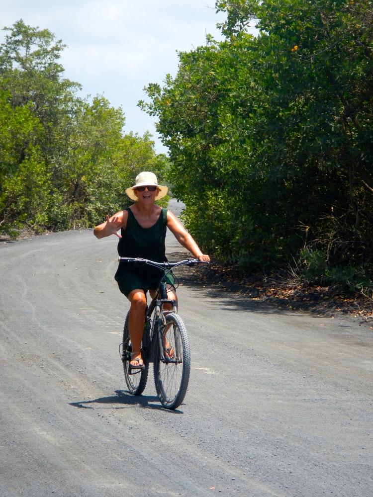 Biking on Isabela: This photo was taken just before we rode 5 km up a sandy path paralleling the coast.  At the very end as far from civilization as we could get my front tire got a puncture.  Walking back pushing bikes even the tortoises over took us! 