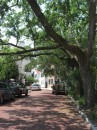 Charleston hisoric district street