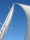 winter sails: White sails in the winter sun