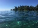 Fare, Huahine: Reef Life from the kayak 