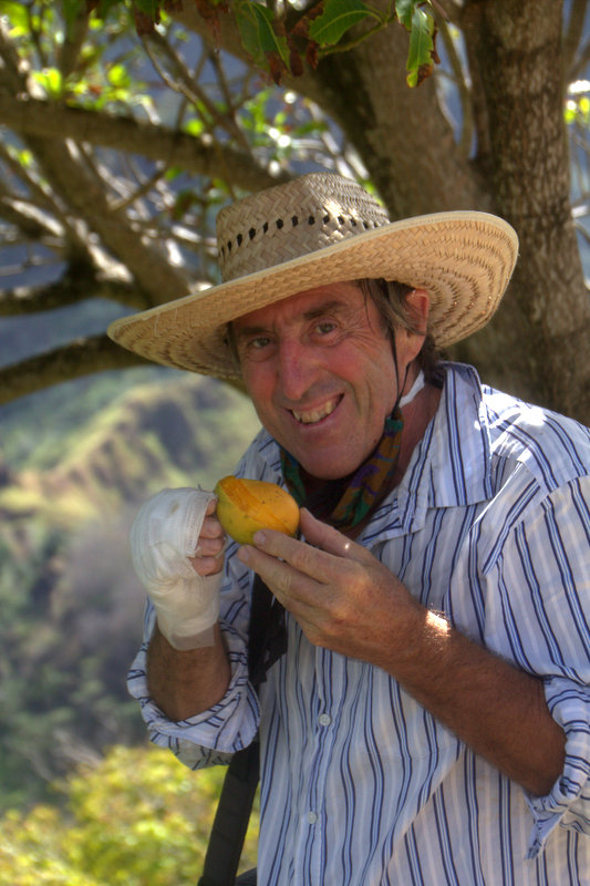 enjoying freshly picked mango