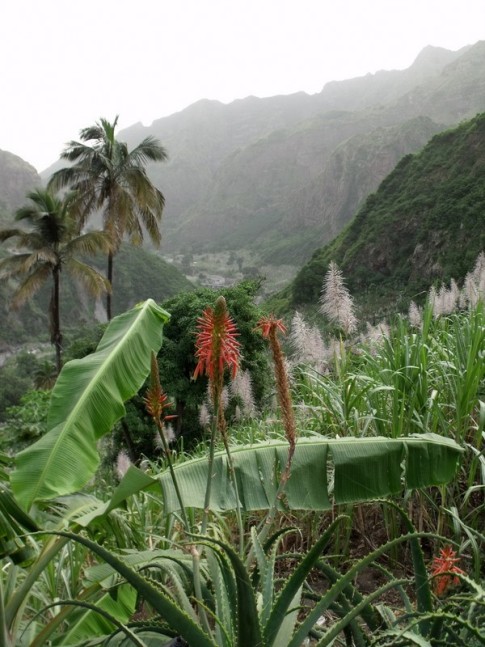 The lush, fertile, valley of Paul in Santo Antao. Our guide told us nobody goes hungry here because food grows so quickly and everybody has some land on which to grow their own food.