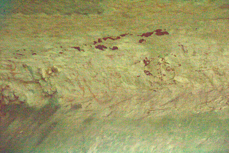 Cave paintings in Niah caves