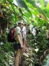 Climbing into the rain forest. St Vincent.