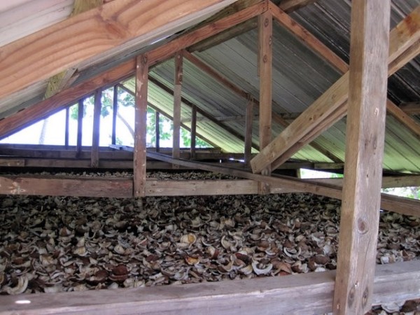 Copra drying hut.