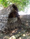 A traditional carib dwelling. Palm leaves for the roof with poles to secure against the wind.