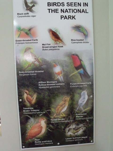 A poster at a Heritage Centre showing the resident birds. Some were so shy we saw nothing of them. 