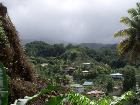 A view of the upper parts of Roseau, capital of Dominica, as we ascended into the rain forest.