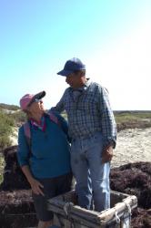 Sue meets Ramone standing on the seaweed.