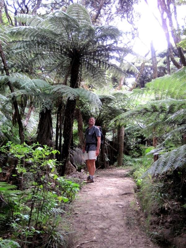 Andy and large tree fern.