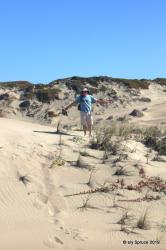 A walk on the sand spit Morro bay
