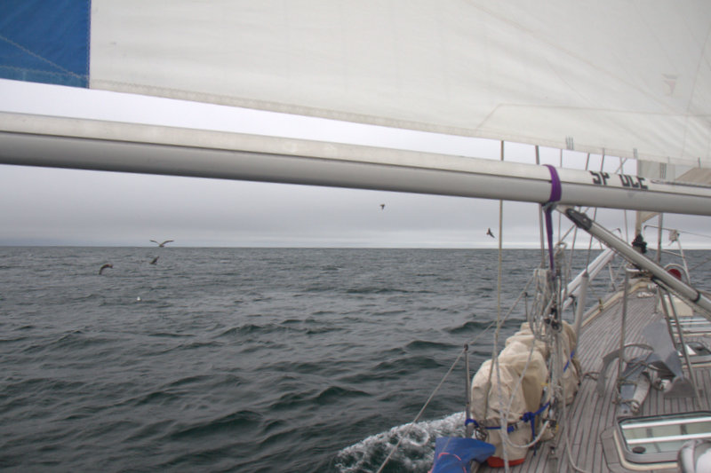 Sailing towards Morro Bay