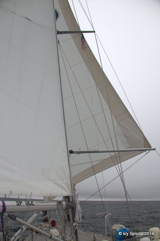 Sailing towards Morro Bay