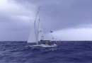 Rapau sailing close by