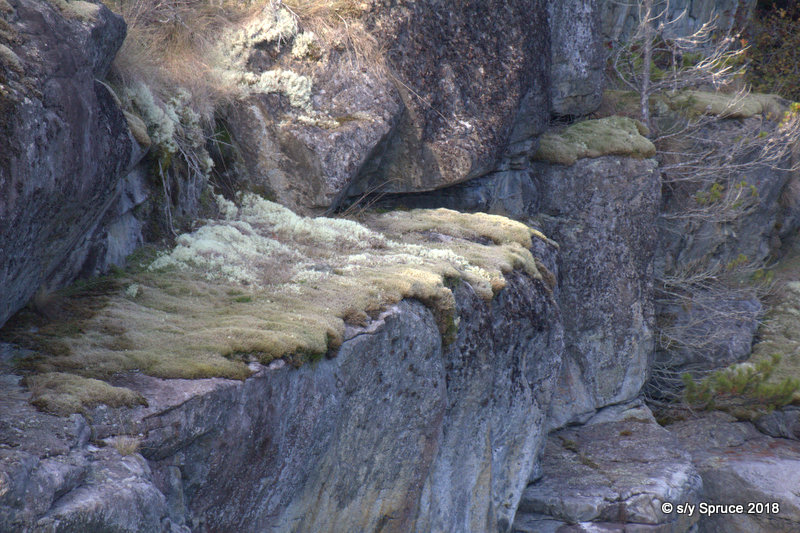 Mossy cliffs.