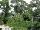 Garden in the St Pauls area of Grenada