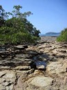 Low tide rock formations.