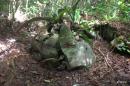 Japanese bomber aircraft remains in Jungle