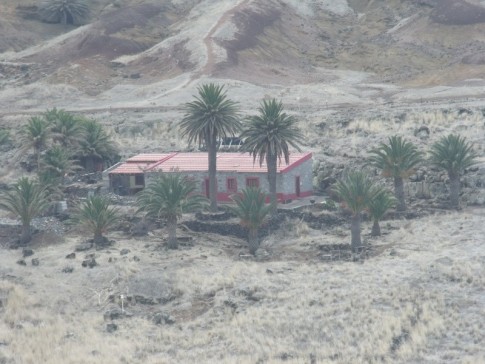 A building that appears to be a research station in an oasis. We were surprised to see the palms.
