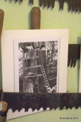 old photos of logging