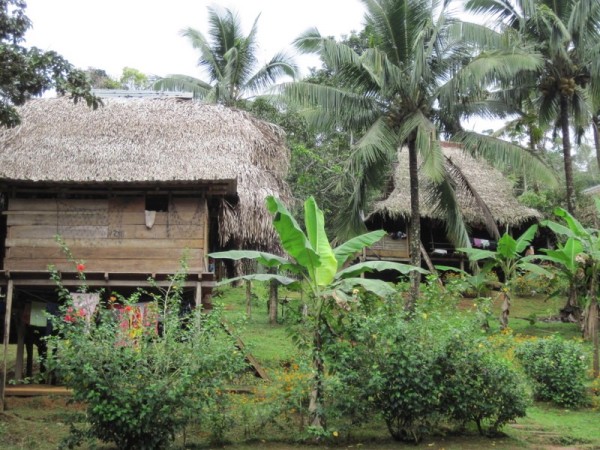 The house in the village are all built on stilts.
