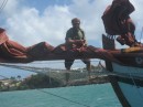 Norna arrived in Grenada - Pete stowing the jib