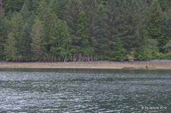 Cachalot Inlet