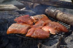 Salmon cooking