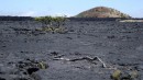 Lava fields on Big Island