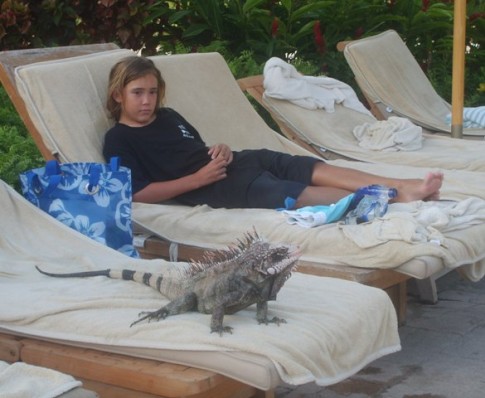 The iguanas will go anywhere they choose