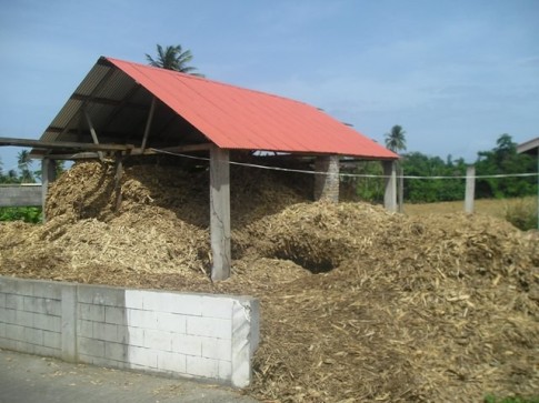 Unused crushed cane which is thrown on the fields as fertilizer.JPG