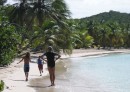 g In search of coconuts.JPG