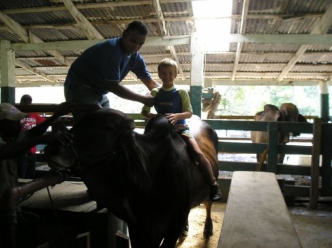John sitting on a Brahma Bull at the Brugal Ranch. The Brugal Family are the makers of the infamous Dominican Republic rum.