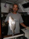 Mutton snapper caught at anchor in the evening.