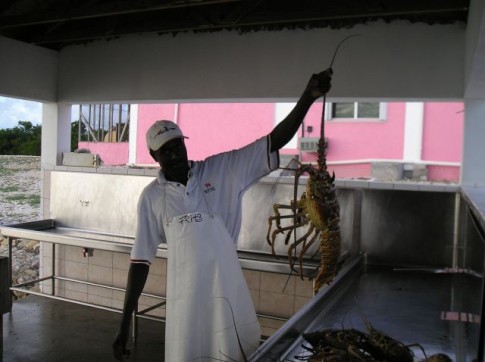 Lobster and Conch processing plant in South Caicos