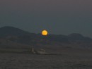 Full Moon Rising - This picure doesn