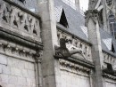 Gargoyles on the very ornate Basilica in Quito are all animals from Ecuador. Lots of condors, turtles, monkeys etc. 