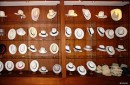 Panama Hats in Cuenca at Homero Ortega P. & Hijos.