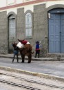 Local children with their primary mode of transportation in Alaus� - an alpaca perhaps ... 