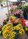Flower market in Cuenca. Ecuador hsa the perfect climate to grow all sorts of flowers throughout the year. 