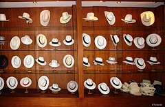 Panama Hats in Cuenca at Homero Ortega P. & Hijos.