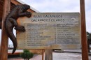 List off all the Galapagos Islands. 
