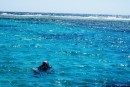 Barefoot Marina - Dane snorkeling.