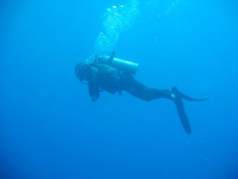 Roatan - Kent diving. 