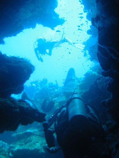 Roatan - Diving at Marys Place, which consists of a huge canyon. A few places we had to wiggle through single file. 