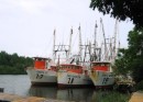 Barillas Marina - Fishing fleet. 