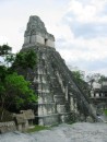 Tikal - Temple II (Great Jaguar). Visitors can no longer climb this temple but it doesnt stop it from being one of the most photographed ruins in Tikal. 